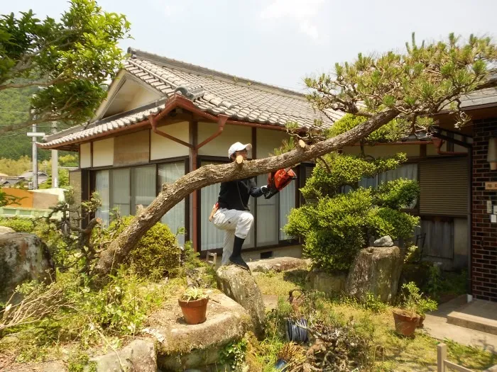 立派な黒松の門担ぎも寂しい姿に・・・・