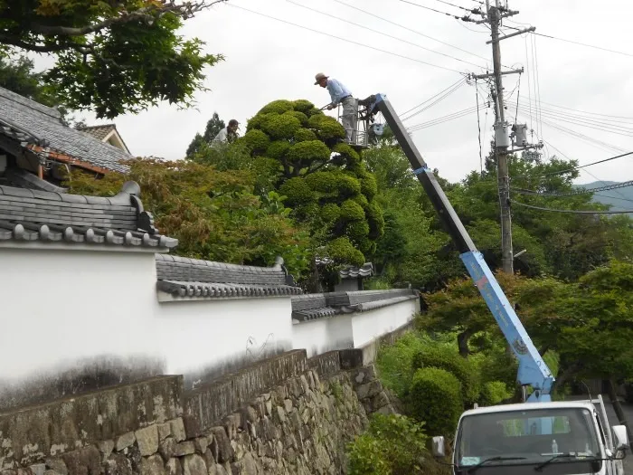 塀際の高所はクレーンで丸山造園さんにご協力お願いしました。