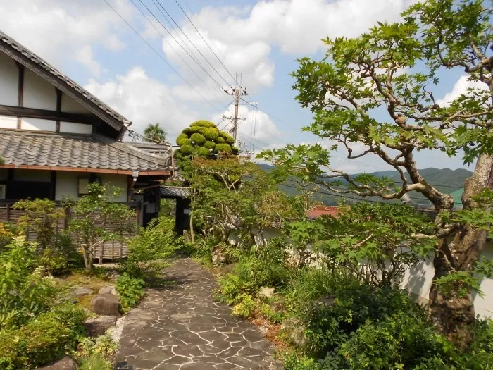 兵庫県加東市で樹木剪定作業を行っています。